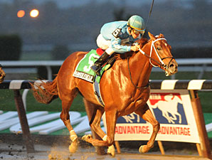 Dominguez Bags Four Stakes at Belmont Dominguez Bags Four Stakes at Belmont
