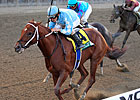 Empire Classic Features Top New York-Breds Empire Classic Features Top New York-Breds