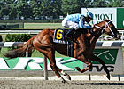 No Standout in Wide-Open Met Mile