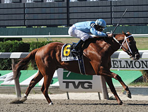 Haynesfield Dominating in Suburban Victory Haynesfield Dominating in Suburban Victory