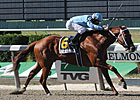 Haynesfield Returns in Empire Classic Haynesfield Returns in Empire Classic