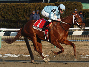 Gotham Next for Romping Haynesfield Gotham Next for Romping Haynesfield