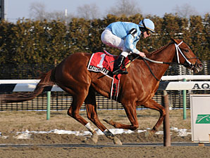 Empire Classic Tops Rich NY Showcase Day Card Empire Classic Tops Rich NY Showcase Day Card