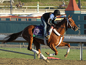 Hazardous Primed for Juvenile Sprint Hazardous Primed for Juvenile Sprint