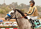 He Be Fire N Ice Retires to Rancho San Miguel He Be Fire N Ice Retires to Rancho San Miguel