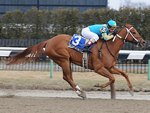 Heart Ashley Zips to Cicada Victory Heart Ashley Zips to Cicada Victory