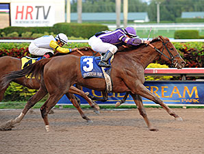 Heart Stealer Rallies to Sugar Swirl Victory Heart Stealer Rallies to Sugar Swirl Victory