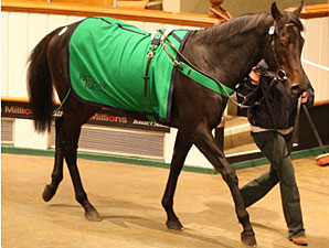 Hearts of Fire Tops Tattersalls Opener Hearts of Fire Tops Tattersalls Opener