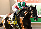 Hollendorfer Duo Part of Even Yellow Ribbon Hollendorfer Duo Part of Even Yellow Ribbon