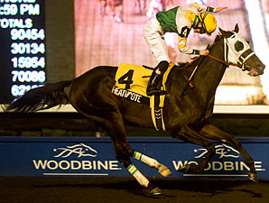 Heathcote Shows Heels in Valedictory Romp Heathcote Shows Heels in Valedictory Romp