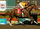 Heatseeker Jets to Californian Victory 