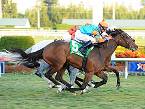 Heavenly Landing, 19-1, Takes Marshua's River Heavenly Landing, 19-1, Takes Marshua's River