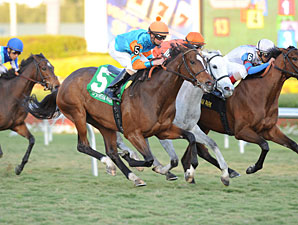 Heavenly Landing Tries for More in Suwannee
