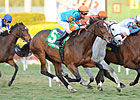 Heavenly Landing Tries for More in Suwannee