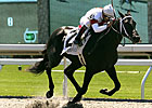 La. Futurity to Decide First-Year Sire Race