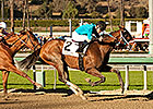 Stevens Guides Heir Kitty to La Brea Upset Stevens Guides Heir Kitty to La Brea Upset