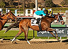 Heir Kitty Set for Return in Great Lady M Heir Kitty Set for Return in Great Lady M