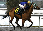 Turfway's Bourbonette Draws Ten 3YO Fillies Turfway's Bourbonette Draws Ten 3YO Fillies