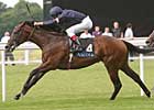 King Henry Rules at Royal Ascot 