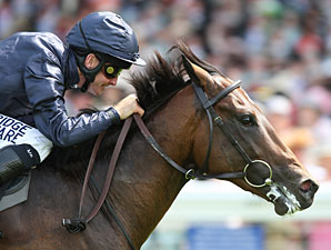 BC Pedigree Profile: Henrythenavigator BC Pedigree Profile: Henrythenavigator