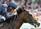 BC Pedigree Profile: Henrythenavigator BC Pedigree Profile: Henrythenavigator