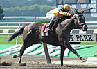 CT Oaks Lures Three Graded Stakes Winners CT Oaks Lures Three Graded Stakes Winners