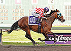 Herbie D Wires the Longacres Mile Herbie D Wires the Longacres Mile
