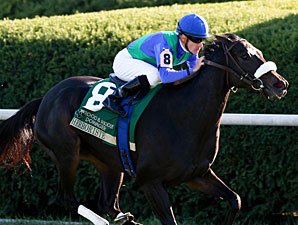 Herboriste Mows Down Dowager Rivals Herboriste Mows Down Dowager Rivals