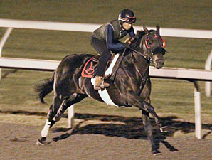 Here Comes Ben Sharp in Keeneland Work Here Comes Ben Sharp in Keeneland Work