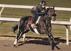 Here Comes Ben Sharp in Keeneland Work