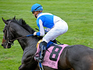 Successful Surgery for Here Comes Frazier Successful Surgery for Here Comes Frazier