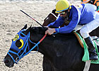 Hero of Order to Stand at Raut Farm Hero of Order to Stand at Raut Farm
