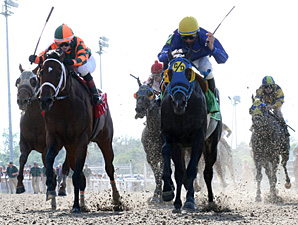 109-1 Hero of Order Wins Louisiana Derby 109-1 Hero of Order Wins Louisiana Derby