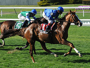 Hessonite Back at Parx for James Penny Hessonite Back at Parx for James Penny