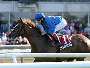 Hessonite Tops Sheepshead Bay Stakes Lineup Hessonite Tops Sheepshead Bay Stakes Lineup