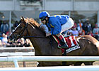 Hessonite Tops Sheepshead Bay Stakes Lineup