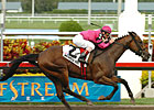 Preakness Profile: Hey Byrn Preakness Profile: Hey Byrn