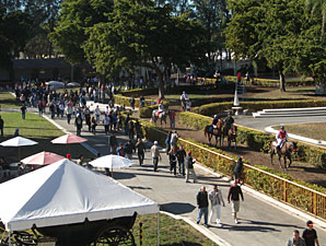 Thoroughbreds Possible at Hialeah in 2013 Thoroughbreds Possible at Hialeah in 2013