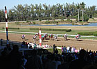 Hialeah Sees New Thoroughbred Opportunity Hialeah Sees New Thoroughbred Opportunity