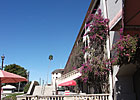 Slideshow: Hialeah Park Slideshow: Hialeah Park