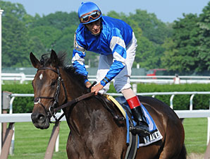 Familiar Rivals Do Battle in New York Stakes 