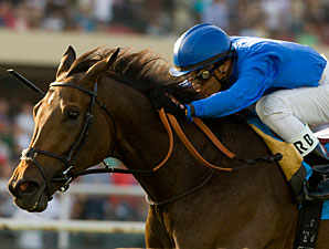 Hibaayeb Takes U.S. Bow in Yellow Ribbon Hibaayeb Takes U.S. Bow in Yellow Ribbon