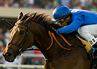 Hibaayeb Takes U.S. Bow in Yellow Ribbon