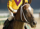 Hierro Preps for Later Classics Hierro Preps for Later Classics