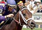 Graded Winner High Cotton to Ocala Stud