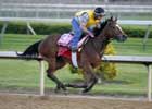 Spinster Finishers Match Up Again in Chilukki
