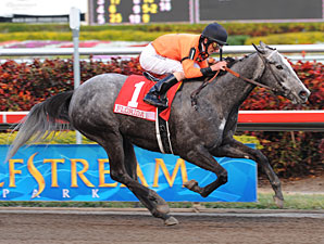 Six to Chase High Resolve in Las Flores Six to Chase High Resolve in Las Flores