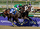 Hightail Captures Juvenile Sprint for Lukas