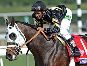 BC Juvenile Sprint Winner Hightail Retired BC Juvenile Sprint Winner Hightail Retired
