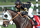 BC Juvenile Sprint Winner Hightail Retired BC Juvenile Sprint Winner Hightail Retired